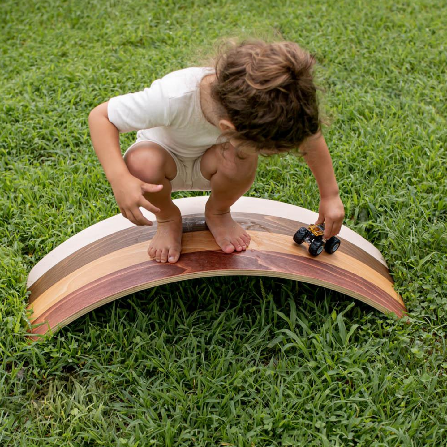 Diversity Wobble Board