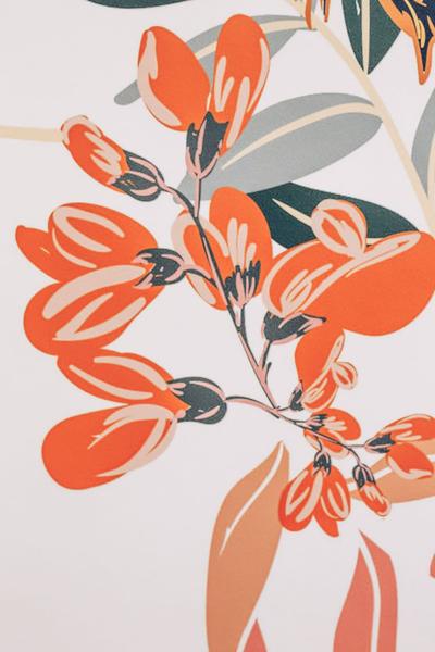 Pink Lady Flamingo Wallpaper