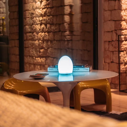 EGG Table Lamp