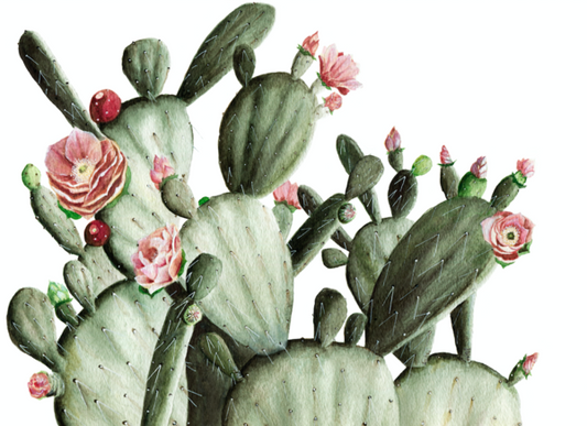Prickly Pear Mural